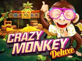 Crazy Monkey Deluxe game cover